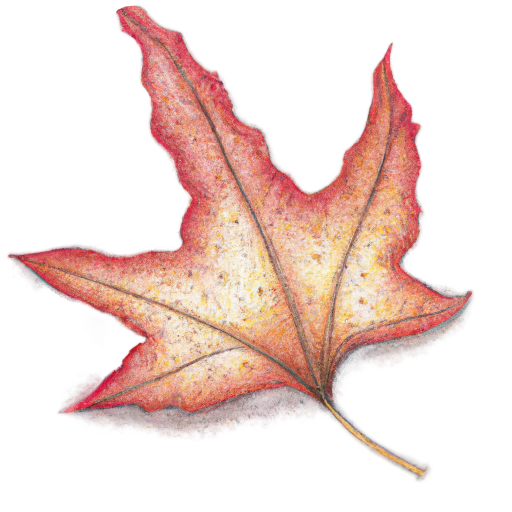 Herbstzeit = Filmzeit